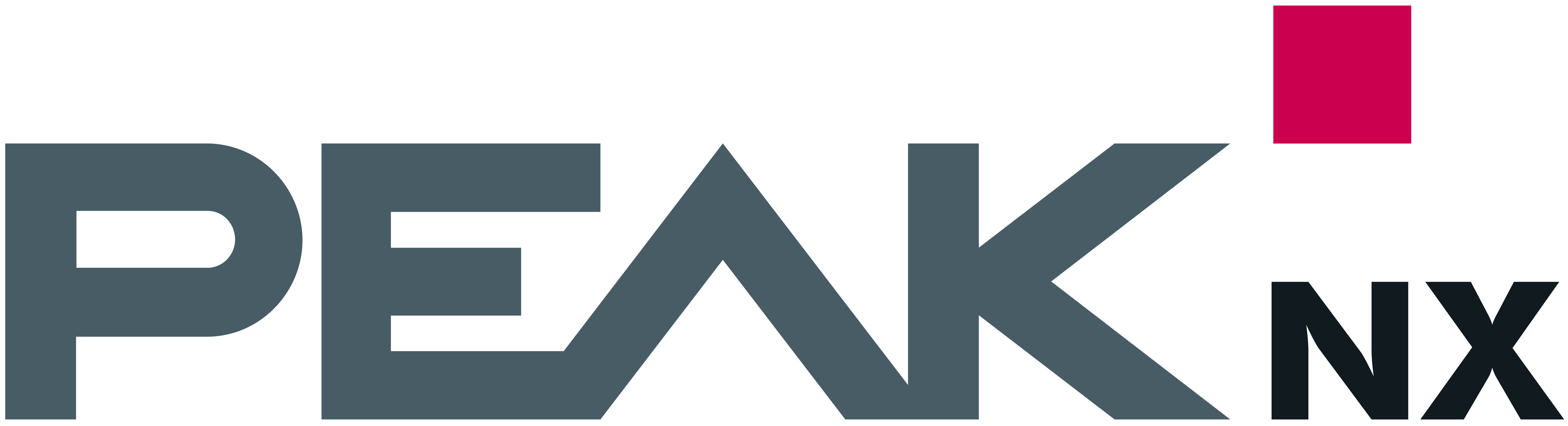 peak nx logo